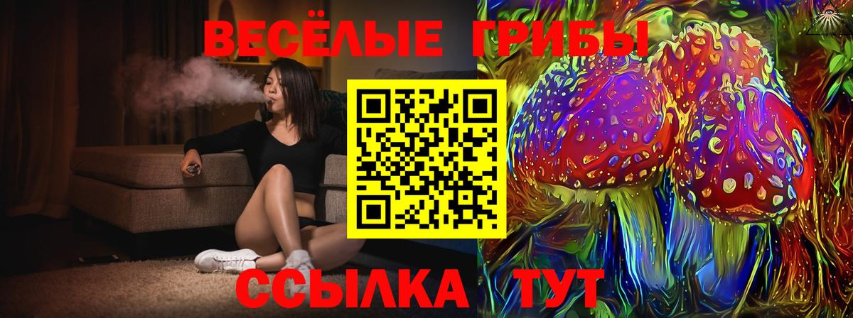 Галлюциногенные грибы MAGIC MUSHROOMS  Псилоцибиновые грибы Psilocybine cubensis  Фролово  Вход с VPN 